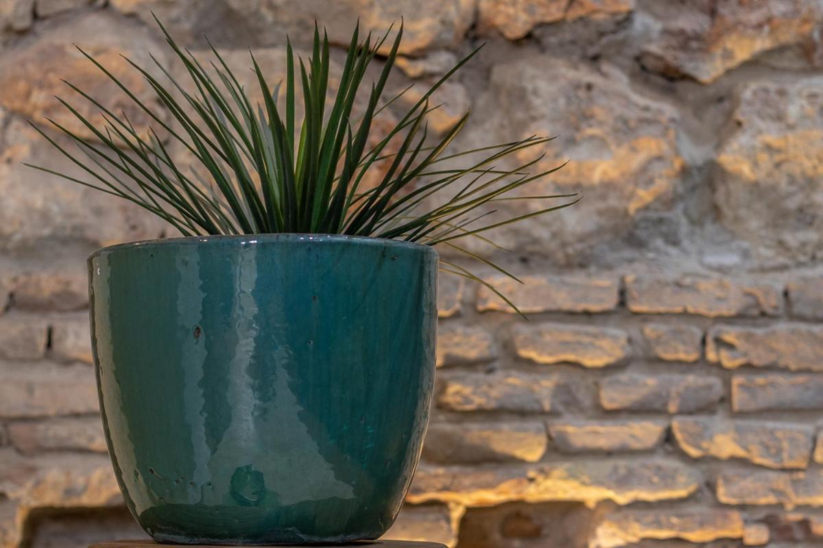 Apartamento Zari Córdoba