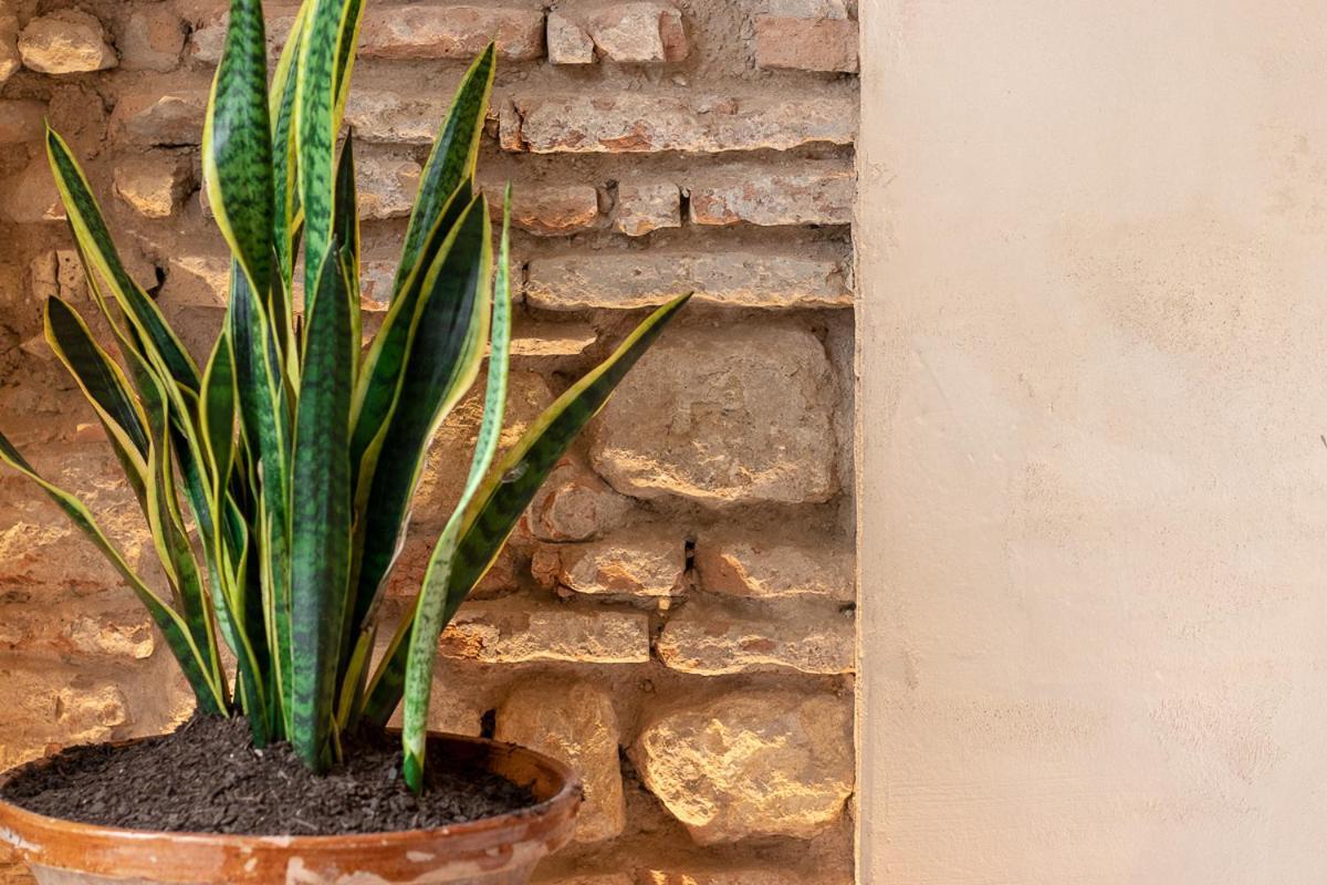 Zari Apartamento Córdoba